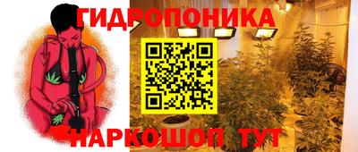 jwh Татарск