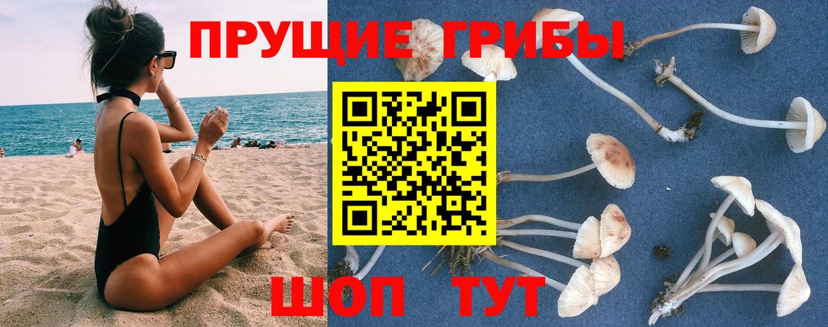 Октябрьский  Галлюциногенные грибы ЛСД  Вход с VPN 