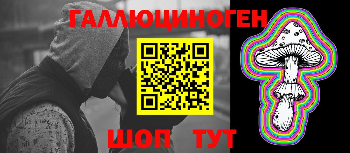 Галлюциногенные грибы Psilocybe Октябрьский